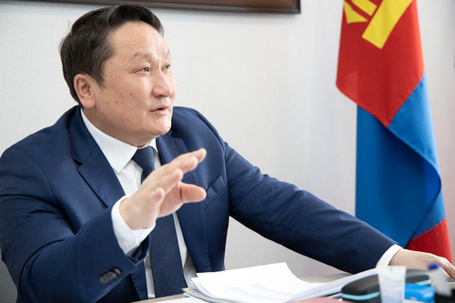 Н.Ганибал: АН бүрэн шинэчлэгдсэний дараа Ерөнхийлөгчид нэр дэвшигчээ тодруулна